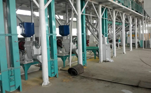  Corn grits processing equipment