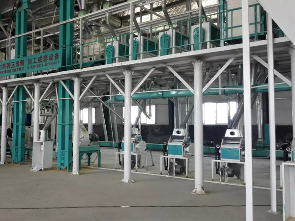  Complete set of automatic corn processing equipment