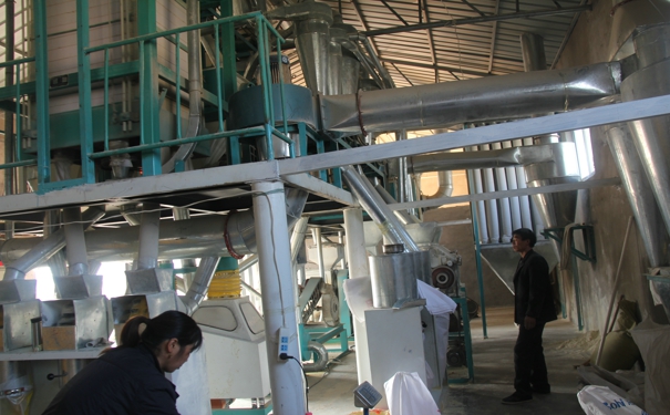  What are the characteristics of corn deep processing equipment different from other grain equipment? How much does it cost to configure one set?