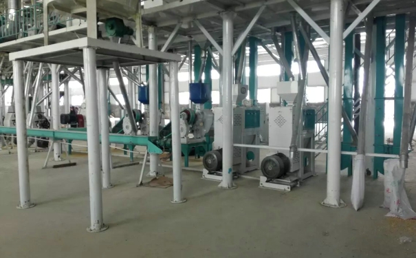  Corn grits processing machine