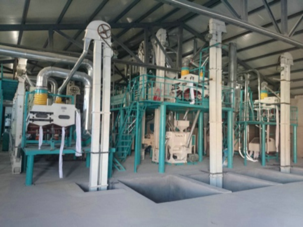  Corn grits processing equipment