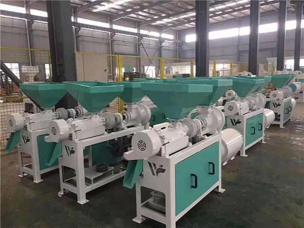  Do you understand the six factors that cause the screen of corn peeling and grit making machine to break? How much does it cost to buy a set?