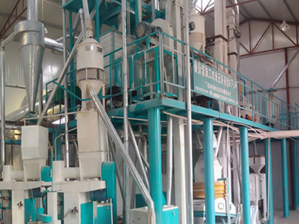  Corn processing production line