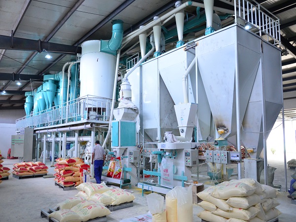  Corn processing production line