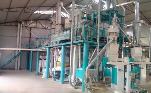  100 ton corn processing equipment