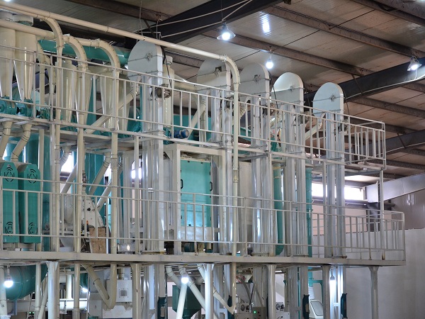  Operators of corn processing equipment should do well in protection work and establish safety production awareness